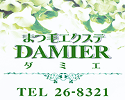 ܂уGNXe DAMIERi_~Gj